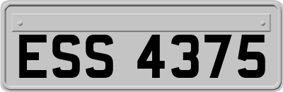 ESS4375