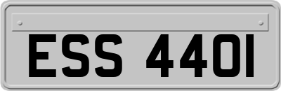 ESS4401