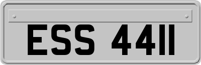 ESS4411