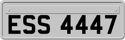 ESS4447