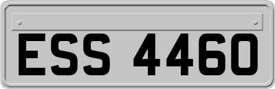 ESS4460