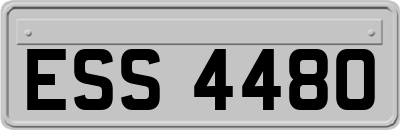 ESS4480