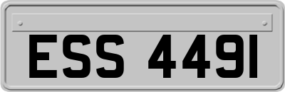 ESS4491