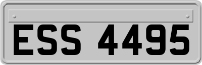 ESS4495