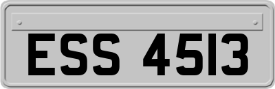 ESS4513