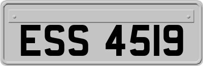 ESS4519