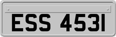 ESS4531
