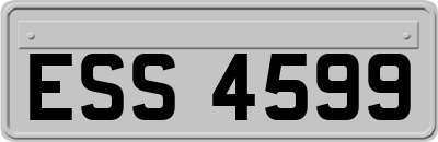 ESS4599