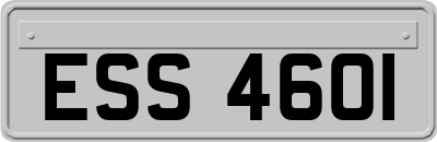 ESS4601