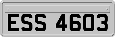 ESS4603