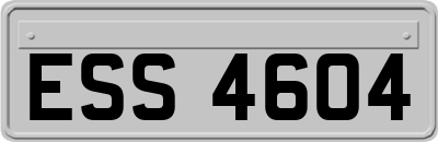 ESS4604