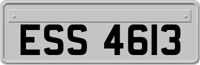 ESS4613