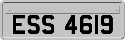 ESS4619