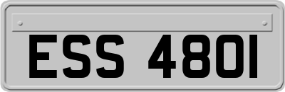 ESS4801