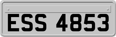 ESS4853