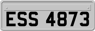 ESS4873
