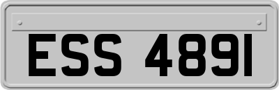 ESS4891