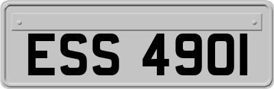 ESS4901