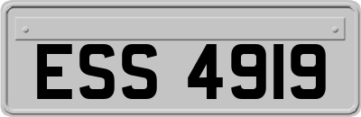 ESS4919