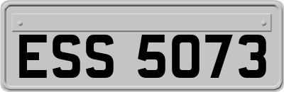ESS5073