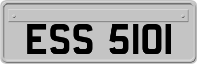 ESS5101