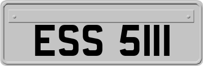 ESS5111