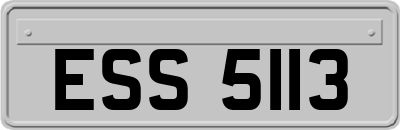 ESS5113