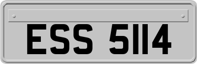 ESS5114