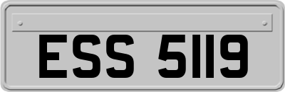 ESS5119