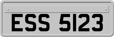 ESS5123
