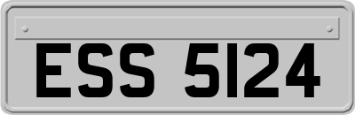 ESS5124