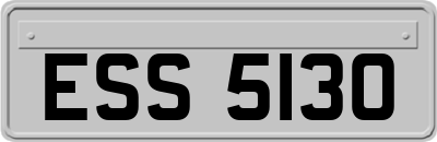 ESS5130