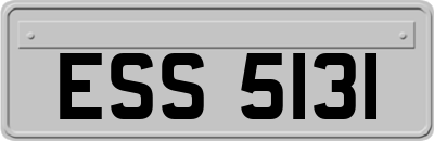 ESS5131