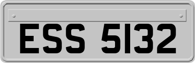ESS5132