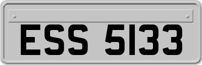ESS5133