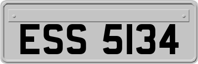 ESS5134