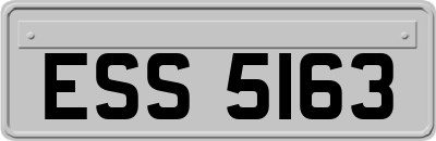 ESS5163