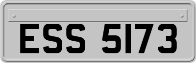 ESS5173