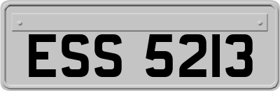 ESS5213