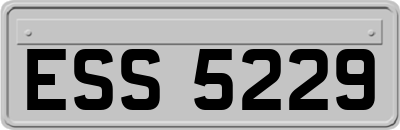 ESS5229