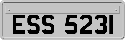 ESS5231