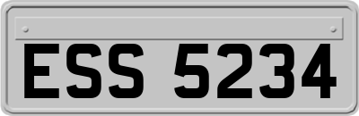 ESS5234