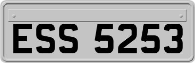 ESS5253