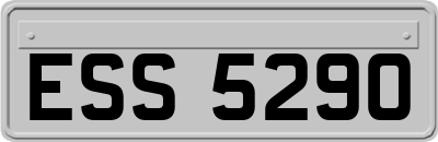 ESS5290