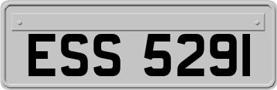 ESS5291
