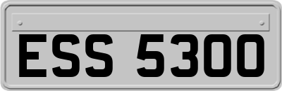 ESS5300