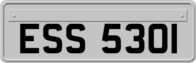ESS5301