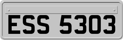 ESS5303
