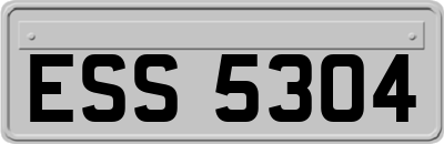 ESS5304