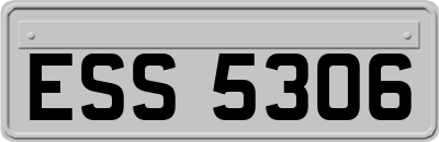 ESS5306